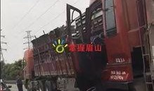 网友爆料货车事件视频播放,网友热议，真相究竟如何？